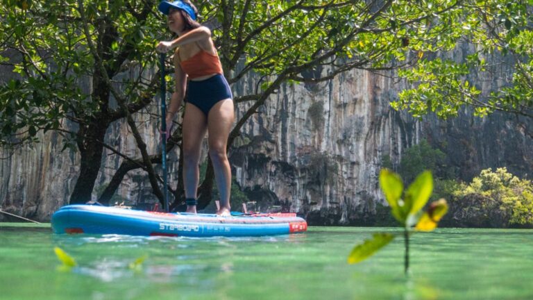 Starboard SUP infront of mangrove